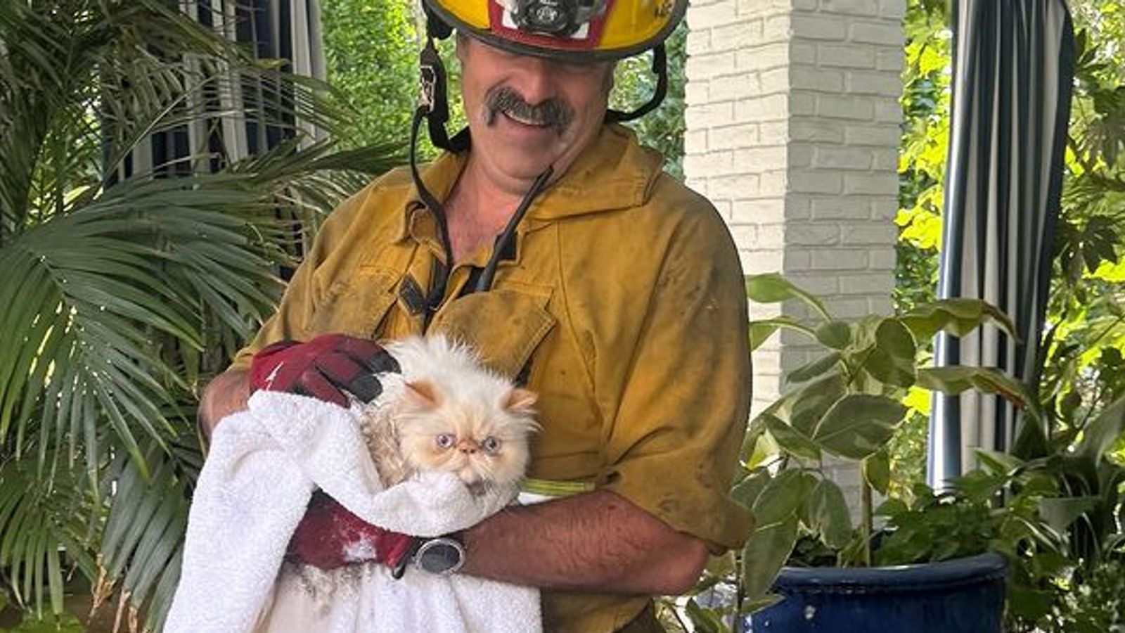 Cara Delevingne thanks firefighters after cats rescued from her burning home | Ents & Arts News