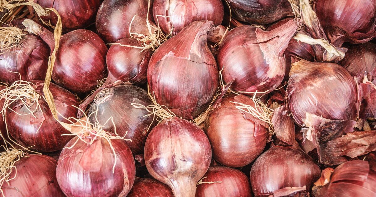 Keep onions fresh ‘for months’ with unusual storage tip using everyday item