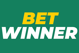 Discover the Exciting World of BetWinner Casino 495400051