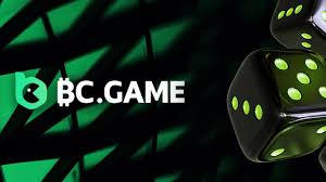 Experience the Excitement of BC.Game Online Casino in India 1027394457