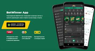 Exploring the BetWinner Online Gambling Platform 480470238