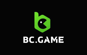 Understanding the Terms & Conditions of BC.Game Understanding the Terms & Conditions of BC.Game