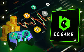 A Comprehensive Guide to the BC App Verification Process